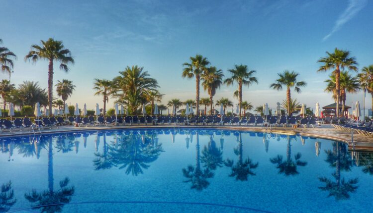 green palm trees near swimming pool during daytime